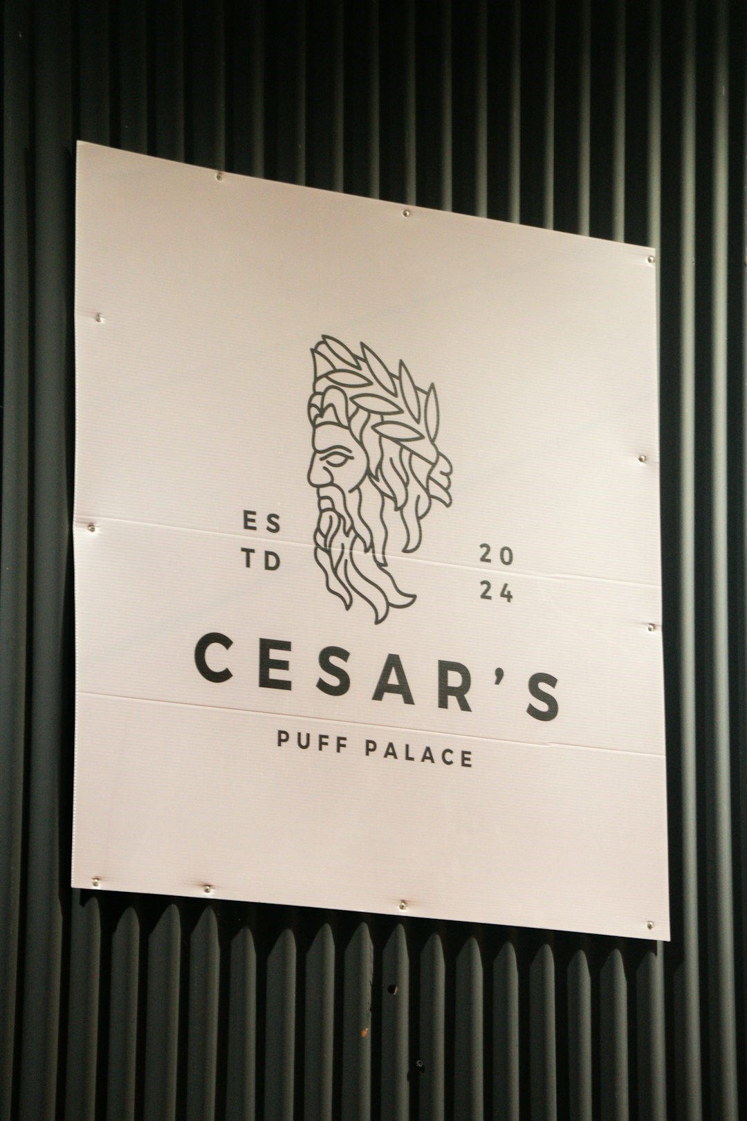 How to Build a Strong Brand Identity for Your Small Business
